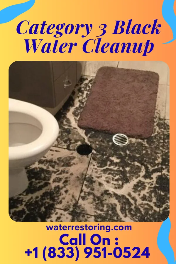 Category 3 Black Water Cleanup in Valley Grove, WV