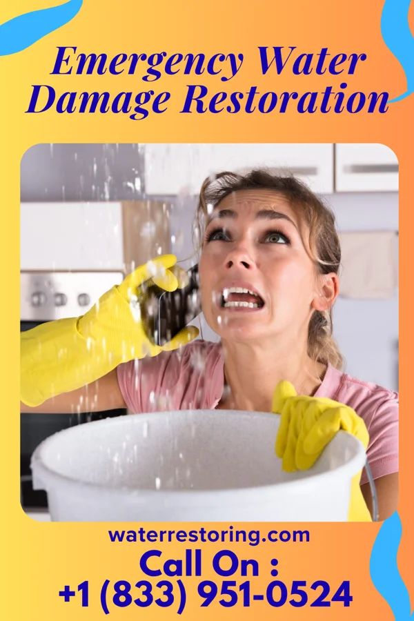 Emergency Water Damage Restoration in Valley Grove, WV