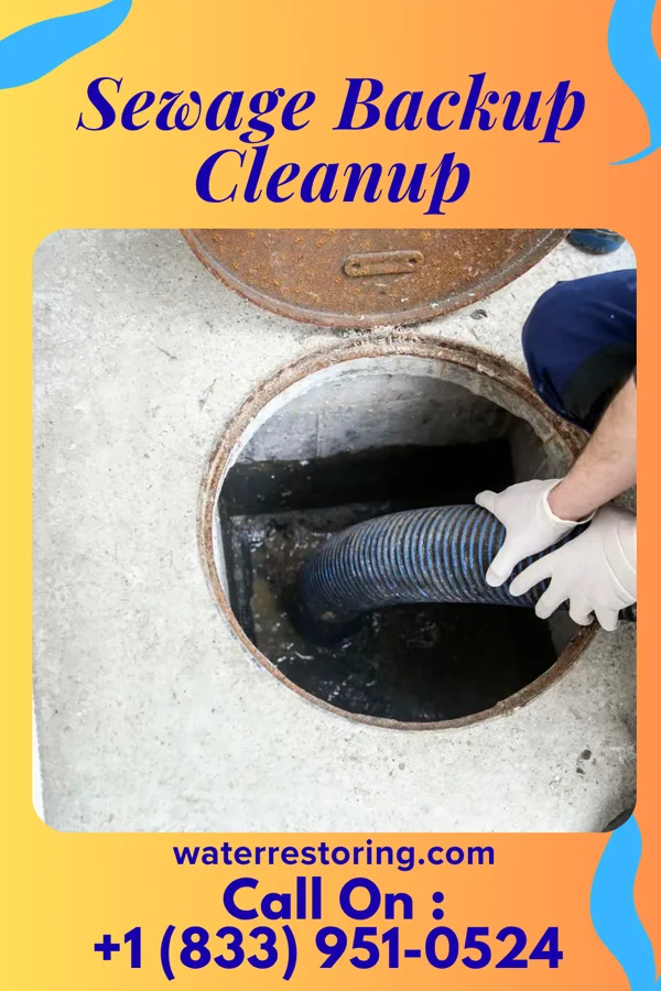 Sewage Backup Cleanup in Valley Grove, WV