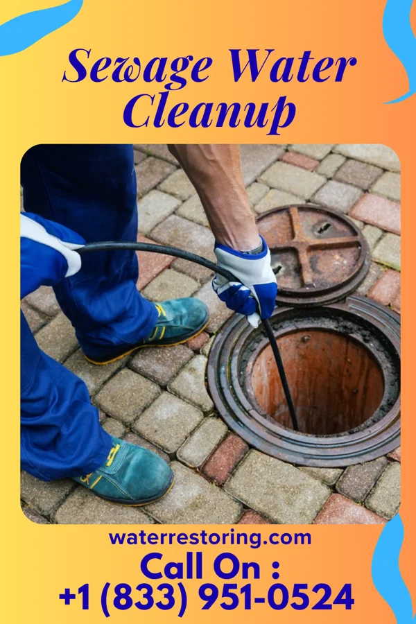 Sewage Water Cleanup in Valley Grove, WV